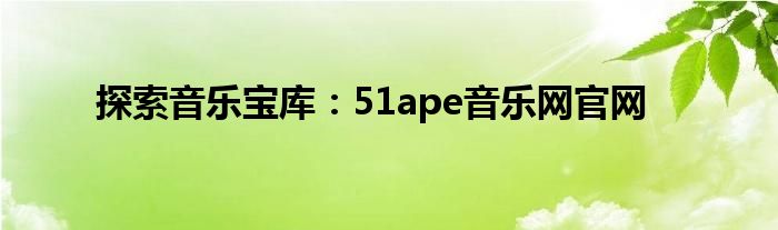 探索音乐宝库：51ape音乐网官网