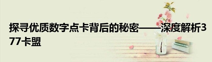 探寻优质数字点卡背后的秘密——深度解析377卡盟