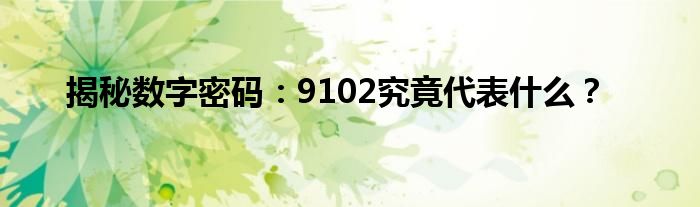 揭秘数字密码：9102究竟代表什么？