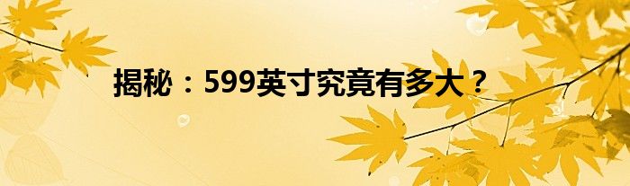 揭秘：599英寸究竟有多大？