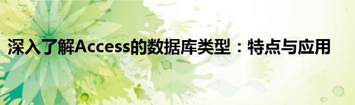 深入了解Access的数据库类型：特点与应用