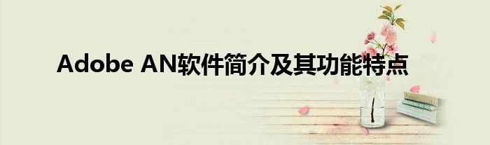 Adobe AN软件简介及其功能特点