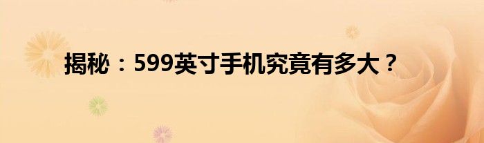 揭秘：599英寸手机究竟有多大？