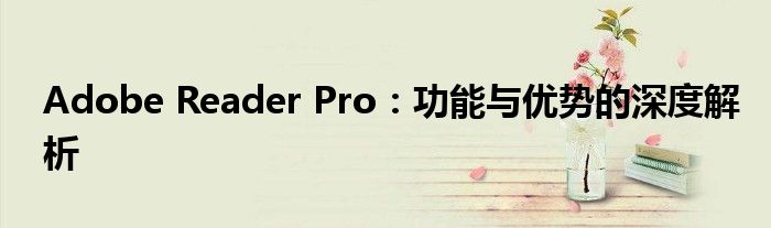 Adobe Reader Pro：功能与优势的深度解析