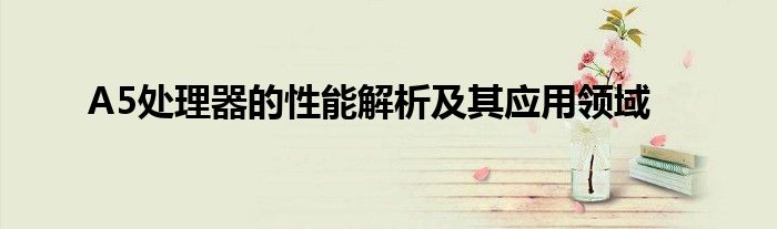 A5处理器的性能解析及其应用领域
