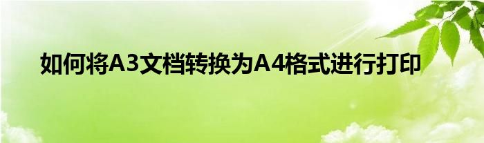 如何将A3文档转换为A4格式进行打印
