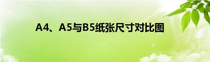 A4、A5与B5纸张尺寸对比图