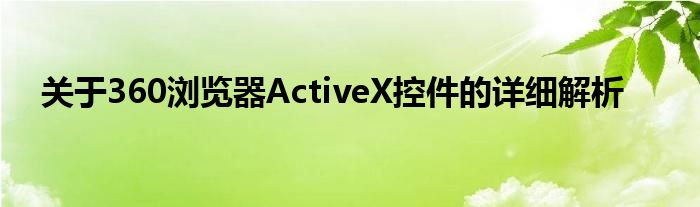 关于360浏览器ActiveX控件的详细解析