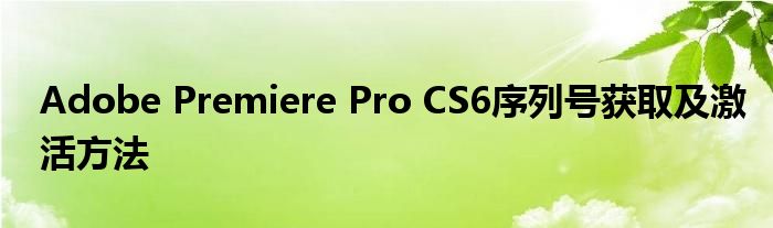 Adobe Premiere Pro CS6序列号获取及激活方法