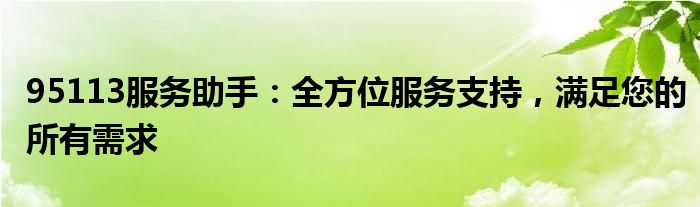 95113服务助手：全方位服务支持，满足您的所有需求