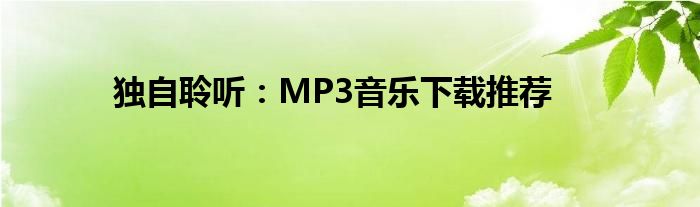 独自聆听：MP3音乐下载推荐