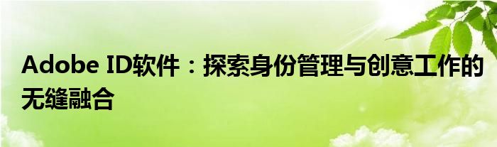 Adobe ID软件：探索身份管理与创意工作的无缝融合