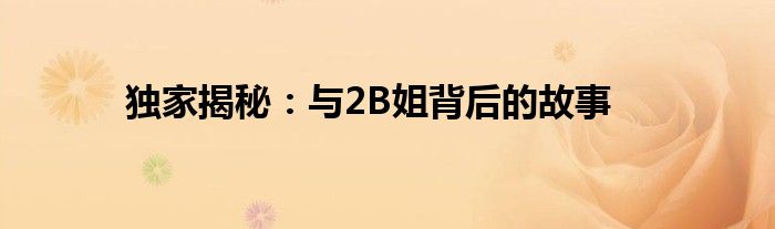 独家揭秘：与2B姐背后的故事
