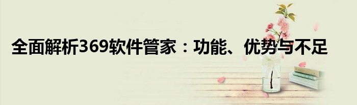 全面解析369软件管家：功能、优势与不足