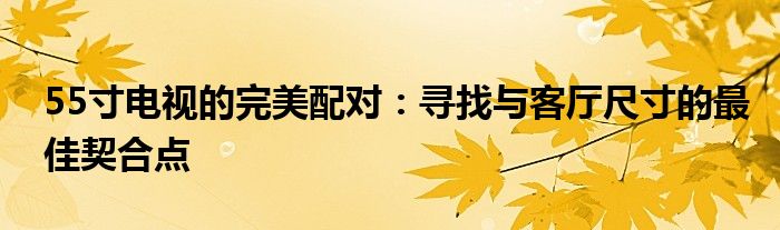 55寸电视的完美配对：寻找与客厅尺寸的最佳契合点