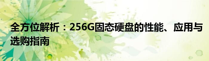 全方位解析：256G固态硬盘的性能、应用与选购指南