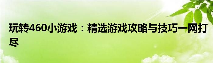 玩转460小游戏：精选游戏攻略与技巧一网打尽