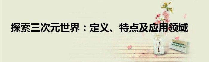 探索三次元世界：定义、特点及应用领域