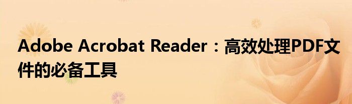Adobe Acrobat Reader：高效处理PDF文件的必备工具