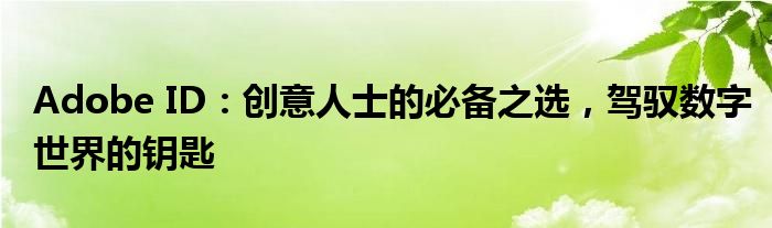 Adobe ID：创意人士的必备之选，驾驭数字世界的钥匙
