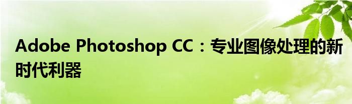 Adobe Photoshop CC：专业图像处理的新时代利器