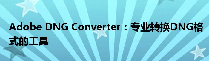 Adobe DNG Converter：专业转换DNG格式的工具