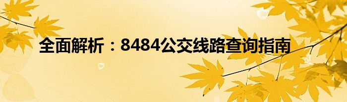 全面解析：8484公交线路查询指南