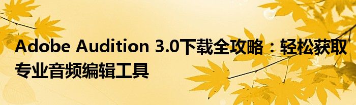 Adobe Audition 3.0下载全攻略：轻松获取专业音频编辑工具