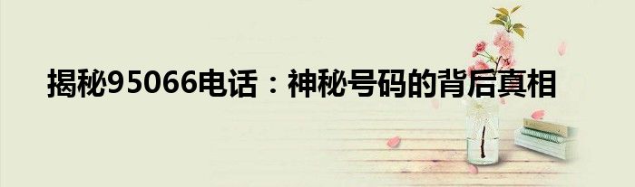 揭秘95066电话：神秘号码的背后真相