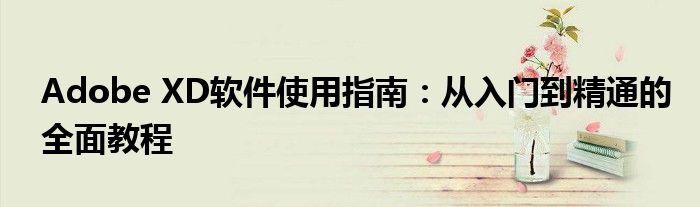 Adobe XD软件使用指南：从入门到精通的全面教程