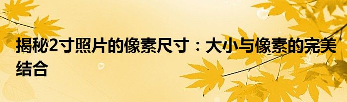 揭秘2寸照片的像素尺寸：大小与像素的完美结合