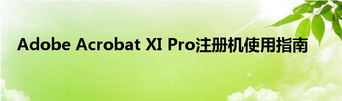 Adobe Acrobat XI Pro注册机使用指南