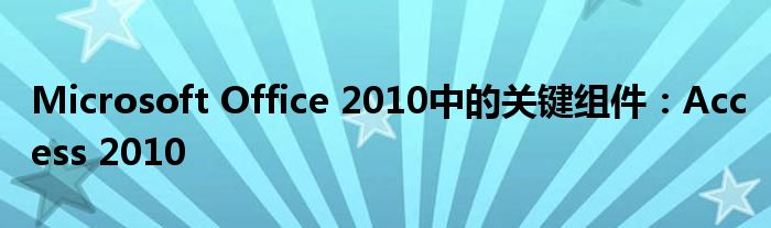 Microsoft Office 2010中的关键组件：Access 2010