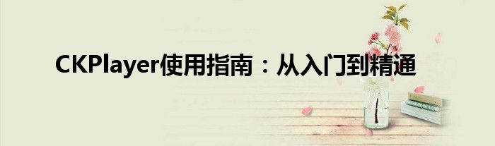 CKPlayer使用指南：从入门到精通