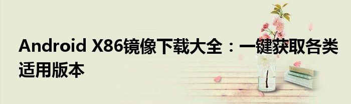 Android X86镜像下载大全：一键获取各类适用版本