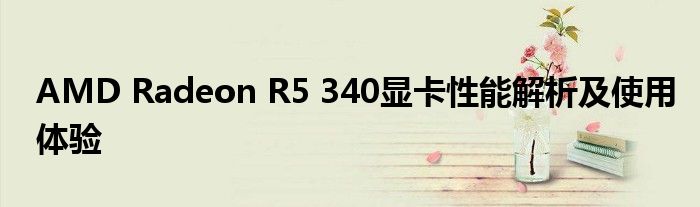 AMD Radeon R5 340显卡性能解析及使用体验