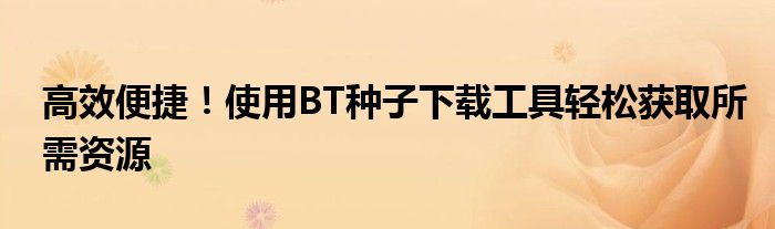 高效便捷！使用BT种子下载工具轻松获取所需资源