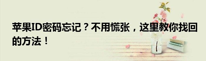 苹果ID密码忘记？不用慌张，这里教你找回的方法！