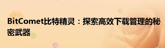 BitComet比特精灵：探索高效下载管理的秘密武器