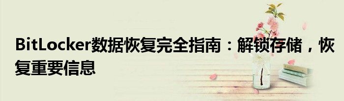BitLocker数据恢复完全指南：解锁存储，恢复重要信息