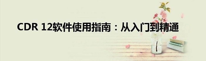 CDR 12软件使用指南：从入门到精通