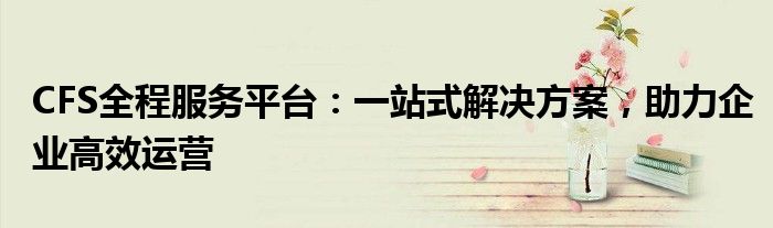 CFS全程服务平台：一站式解决方案，助力企业高效运营