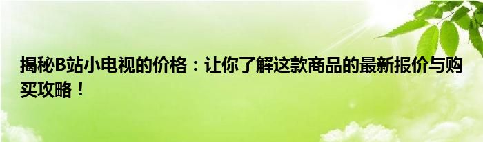 揭秘B站小电视的价格：让你了解这款商品的最新报价与购买攻略！