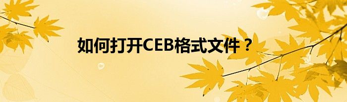如何打开CEB格式文件？