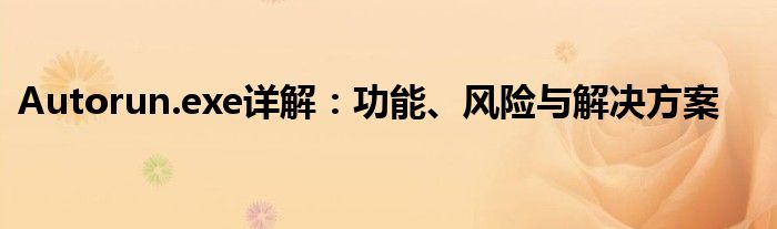 Autorun.exe详解：功能、风险与解决方案