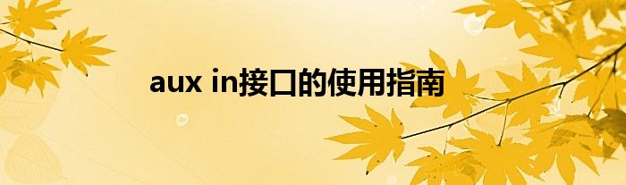 aux in接口的使用指南