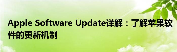 Apple Software Update详解：了解苹果软件的更新机制