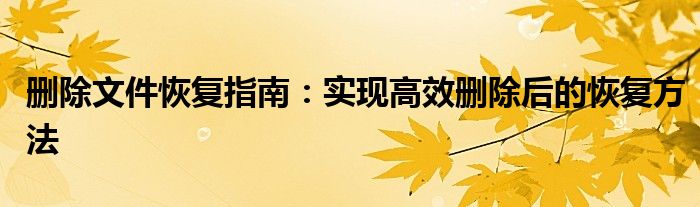 删除文件恢复指南：实现高效删除后的恢复方法