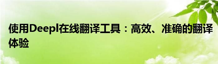 使用Deepl在线翻译工具：高效、准确的翻译体验