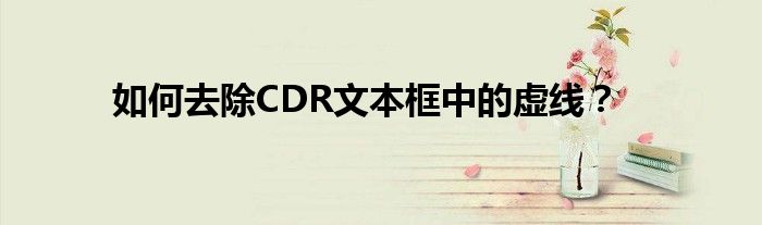 如何去除CDR文本框中的虚线？